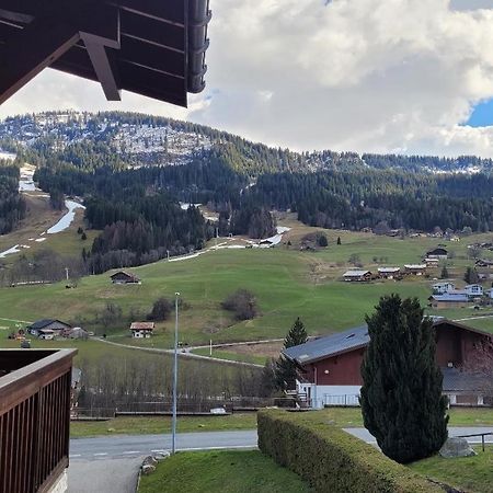 Appartement 1 Chambre Avec Garage Praz-sur-Arly Exterior photo